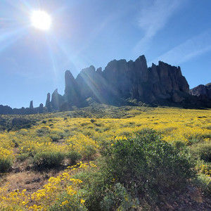 Meet your Posher, Ursula